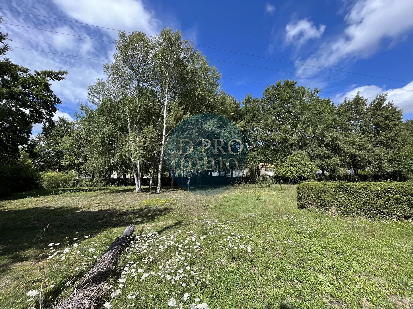 Vente 
Saint-Aignan-Grandlieu
 – 44860 – 60554639