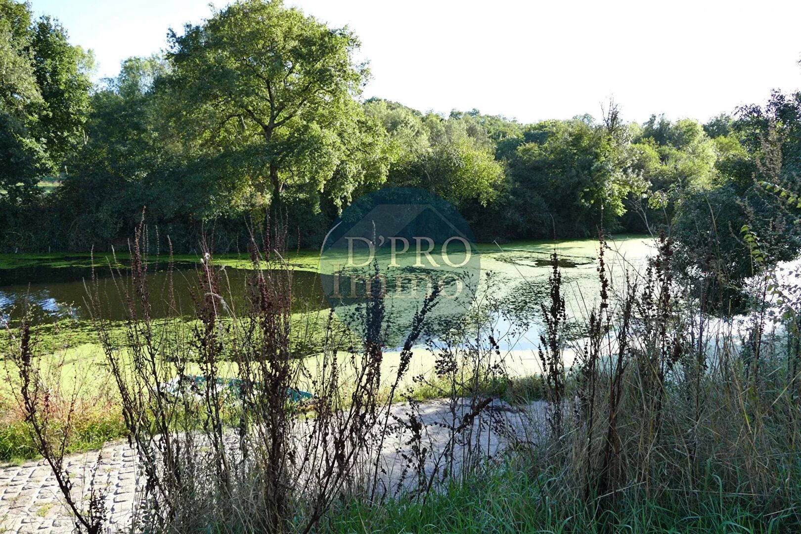 Vente 
La Haie-Fouassière
 – 44690 – 60555047